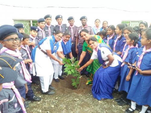cubs and bulbuls inauguration