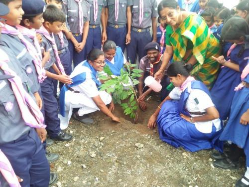 cubs and bulbuls inauguration